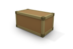 Trunk