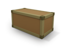 Trunk