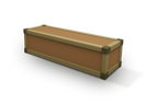 Trunk